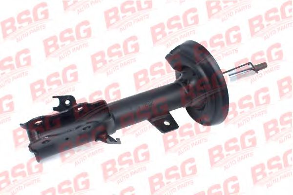 BSG 30-300-031 BSG 