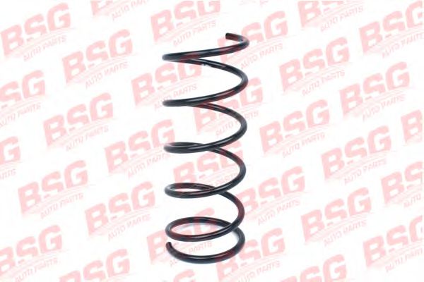 BSG 30-305-019 BSG   