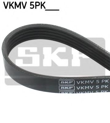 VKMV 5PK1219 SKF  