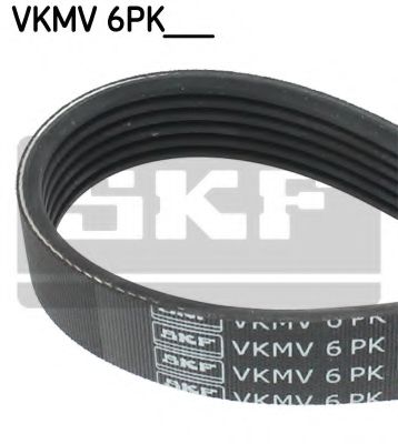 VKMV 6PK1564 SKF  